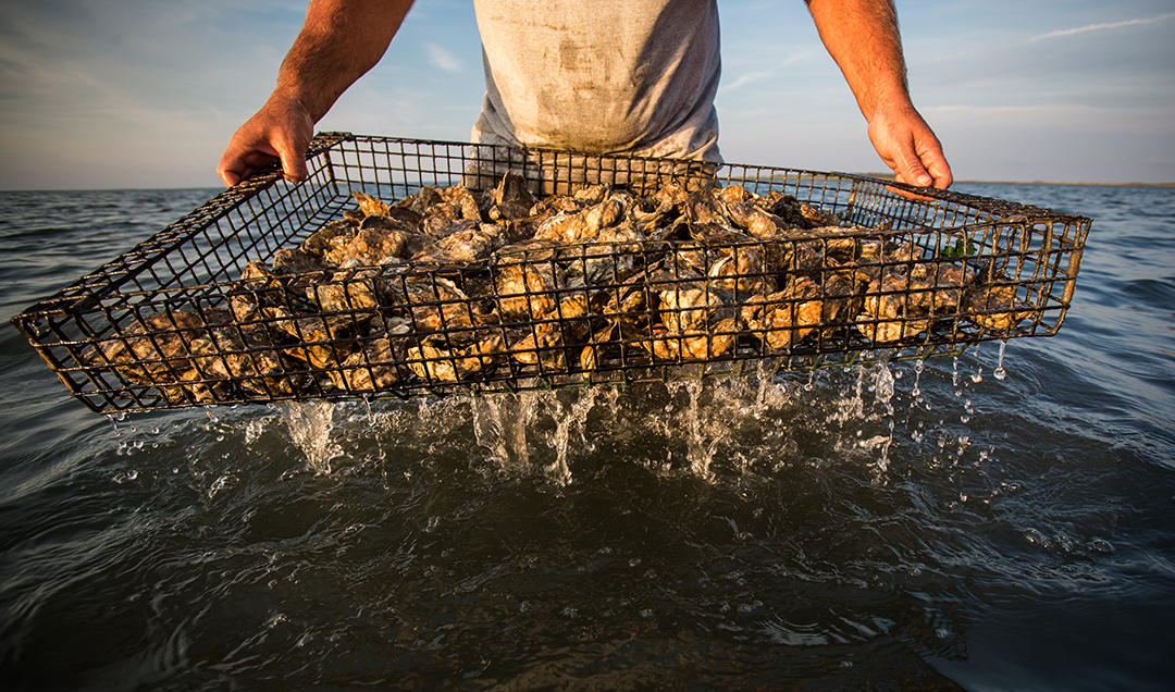 Lanpher_120823_0055b Lanpher_120823_0055b