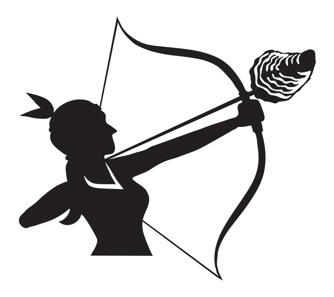 Shooting Point Oysters